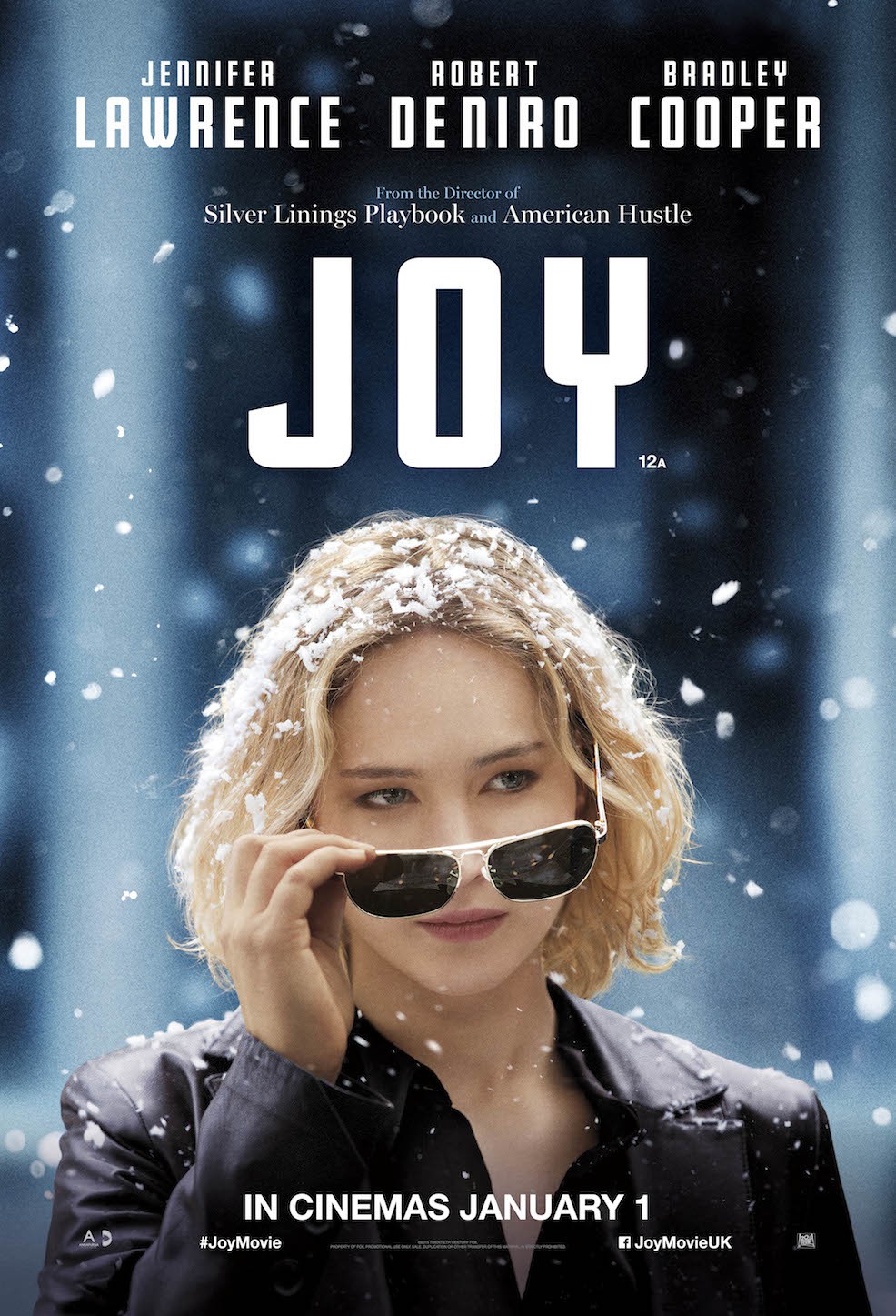 Joy 2015 DVD PLANET STORE