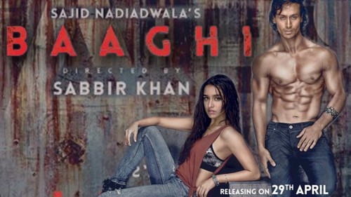 Image result for Baaghi (2016)