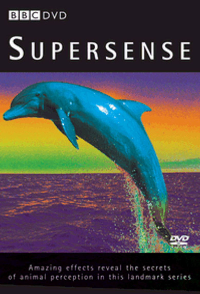 Supersense - DVD PLANET STORE