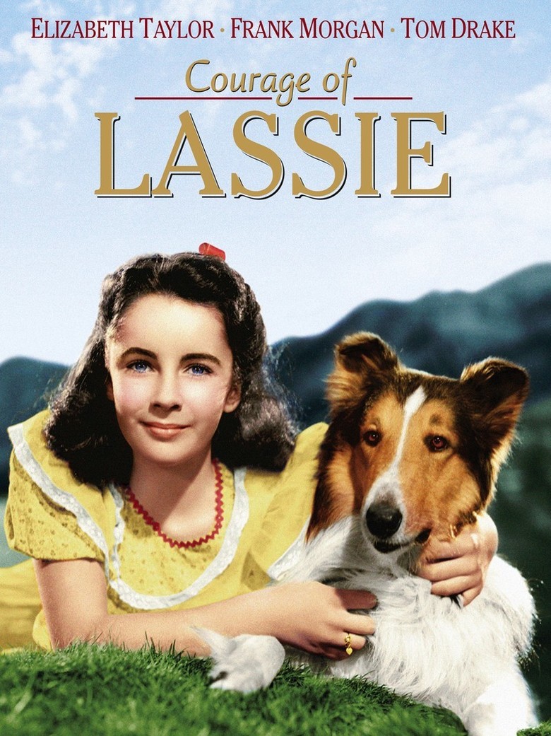 Courage Of Lassie 1946 Dvd Planet Store