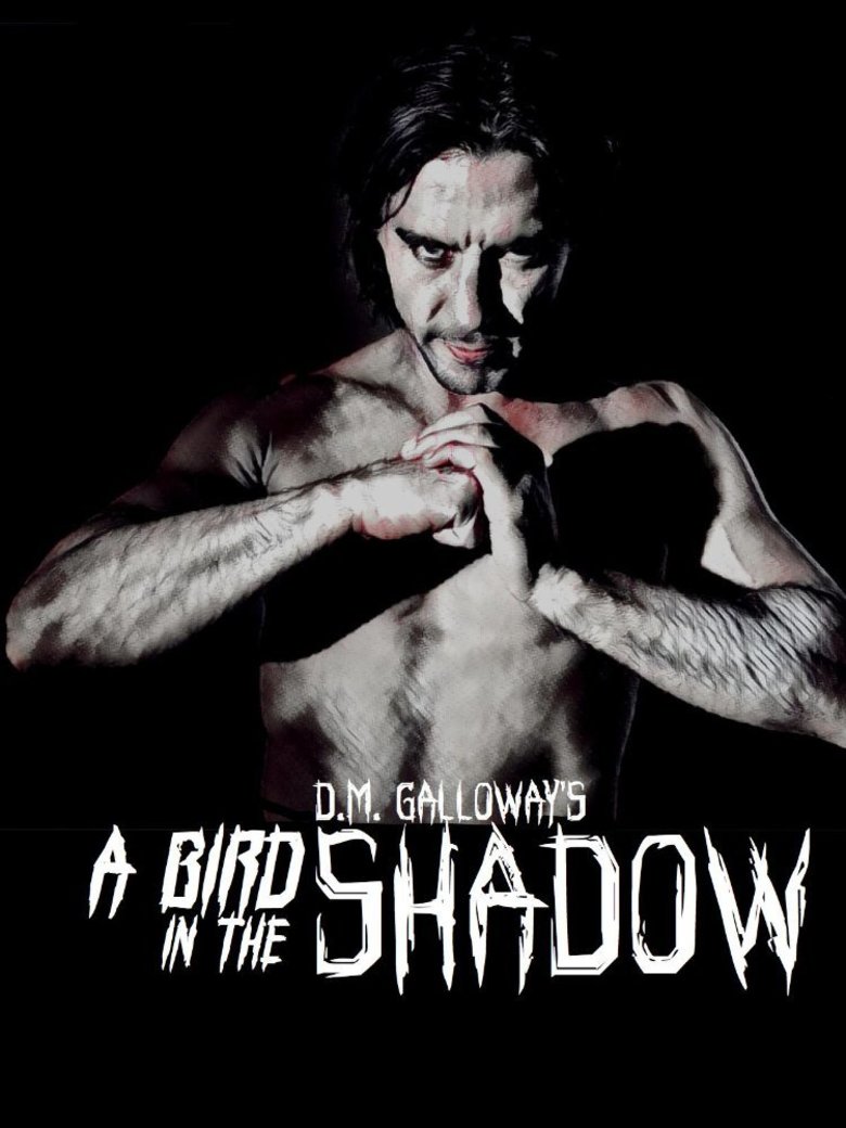 A Bird In The Shadow (2017) - DVD PLANET STORE