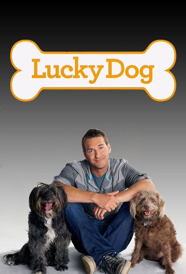 lucky dog