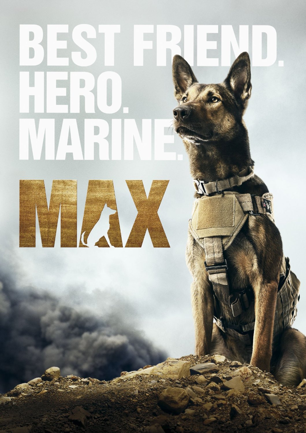 [EX-RENTAL] Max DVD 2015 (Original) - DVD PLANET STORE