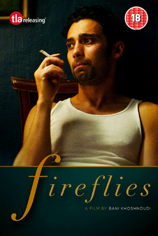 fireflies-dvd.jpg