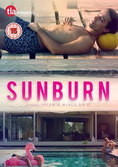 sunburn-dvd.jpg