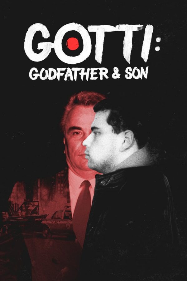 Gotti Godfather and Son DVD PLANET STORE