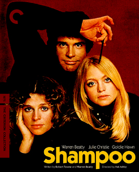 shampoo-criterion-collection-blu-ray.jpg