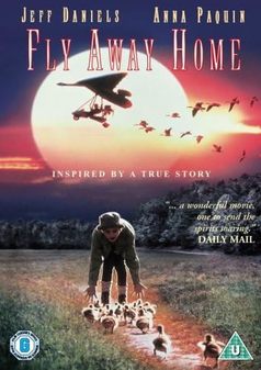 fly-away-home-dvd.jpg