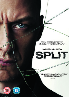 split-dvd.jpg